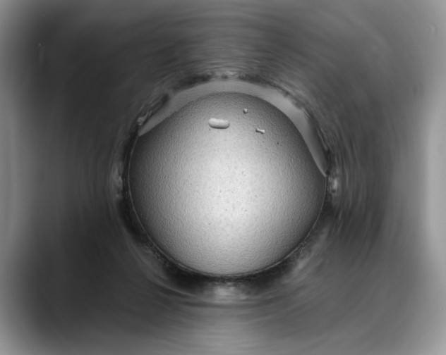 X0000088410264200706121420