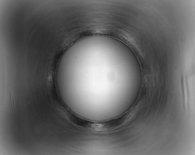 X0000088410265200706121420