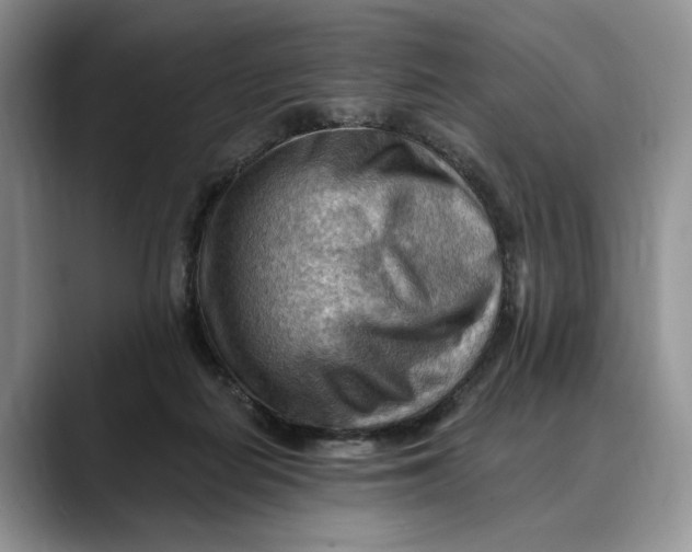 X0000088410266200706121420