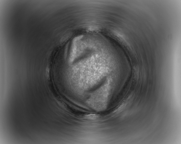 X0000088410269200706121420