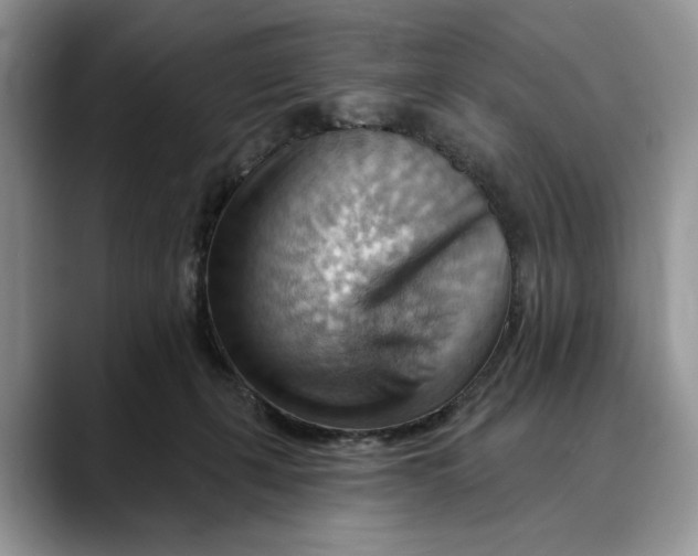 X0000088410271200706121420