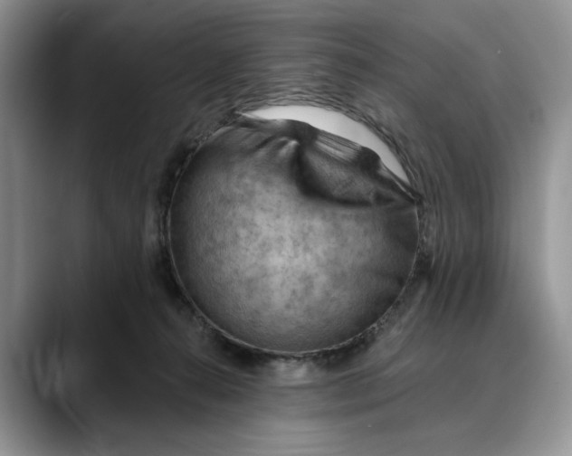 X0000088410272200706121420