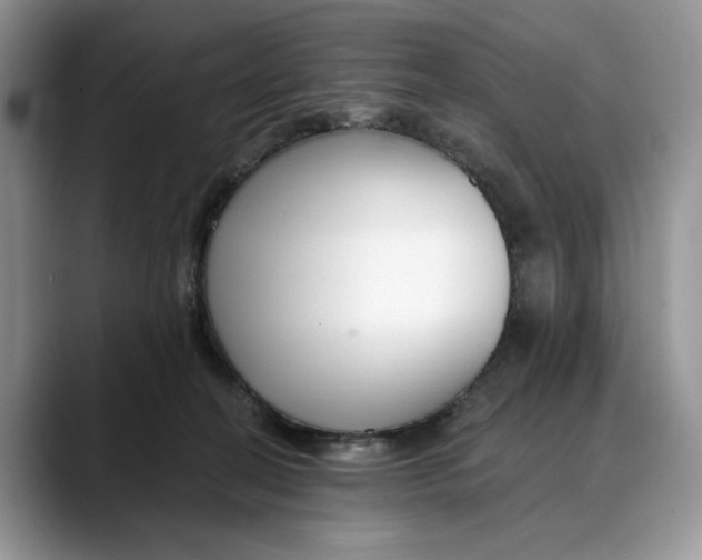 X0000088410274200706121420