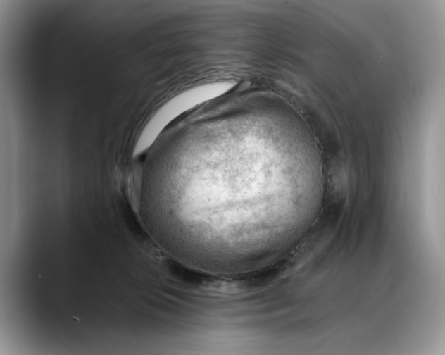 X0000088410276200706121420