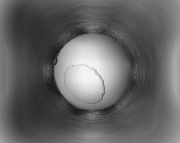 X0000088410278200706121420