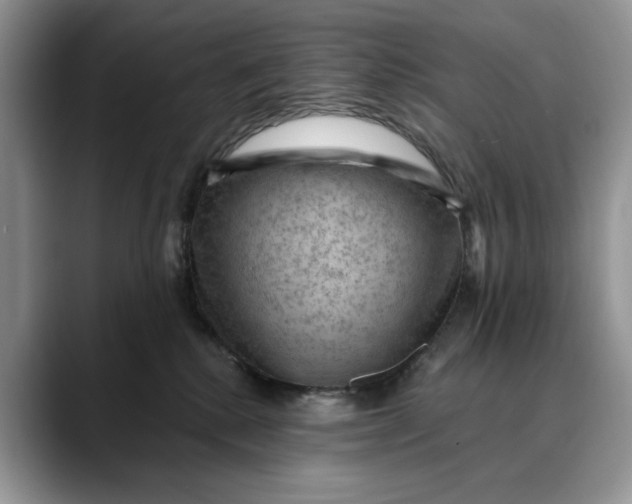 X0000088410280200706121420