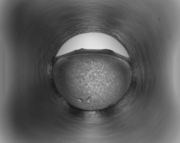 X0000088410281200706121420