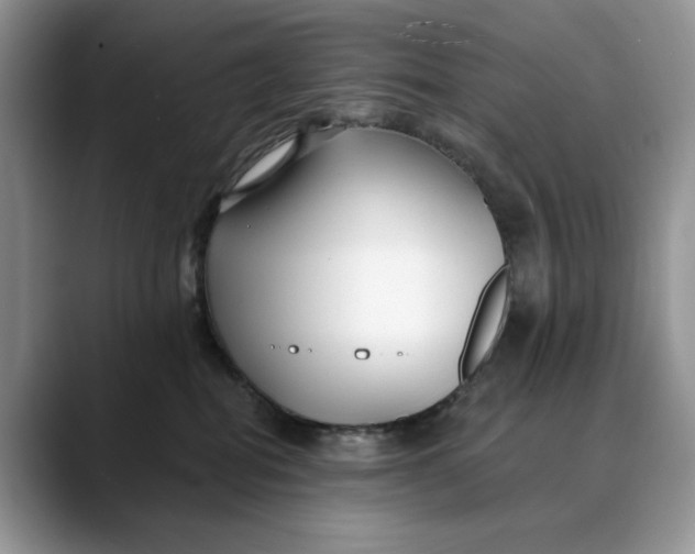 X0000088410282200706121420