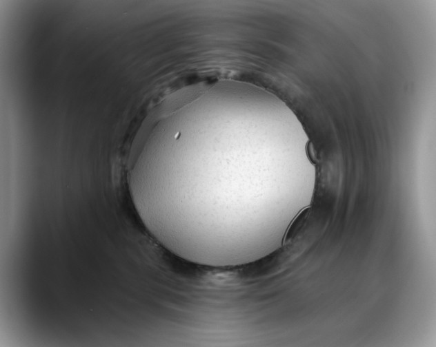 X0000088410283200706121420