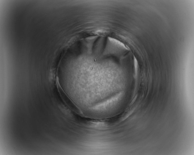 X0000088410284200706121420