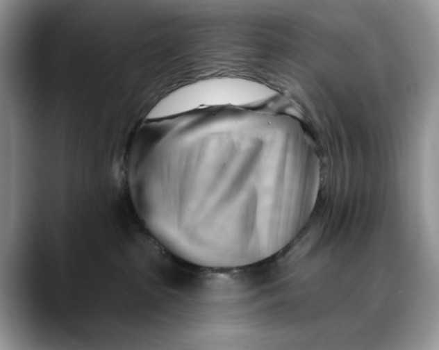 X0000088410285200706121420