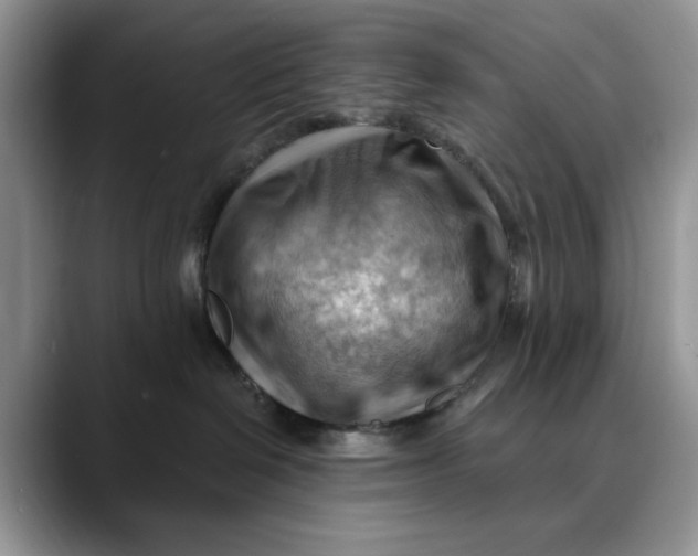 X0000088410286200706121420