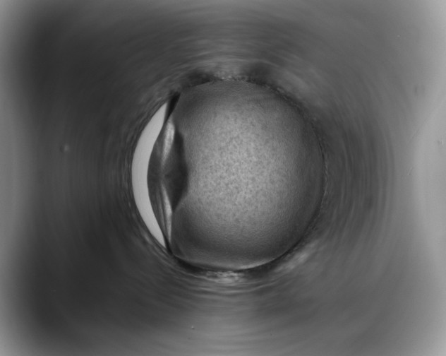 X0000088410288200706121420