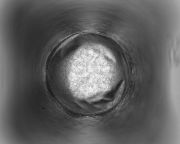 X0000088410290200706121419