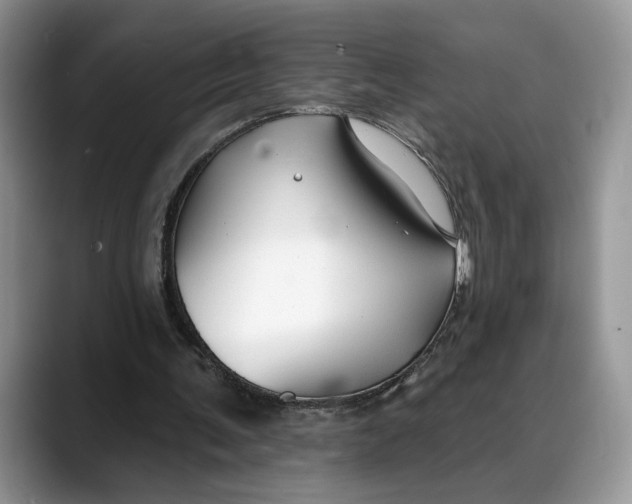 X0000088410291200706121419