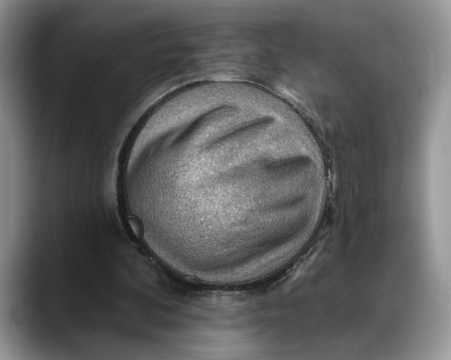 X0000088410292200706121419