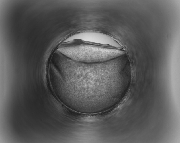 X0000088410293200706121419