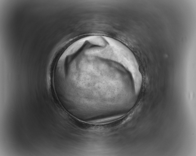 X0000088410294200706121419