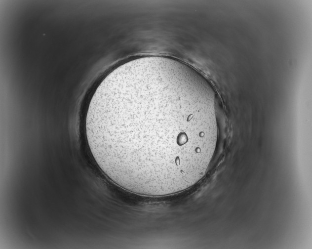 X0000088410296200706121419