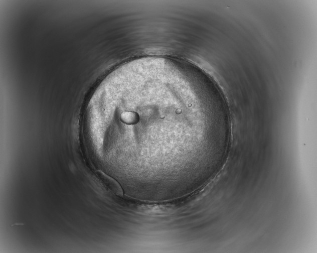 X0000088410297200706121419