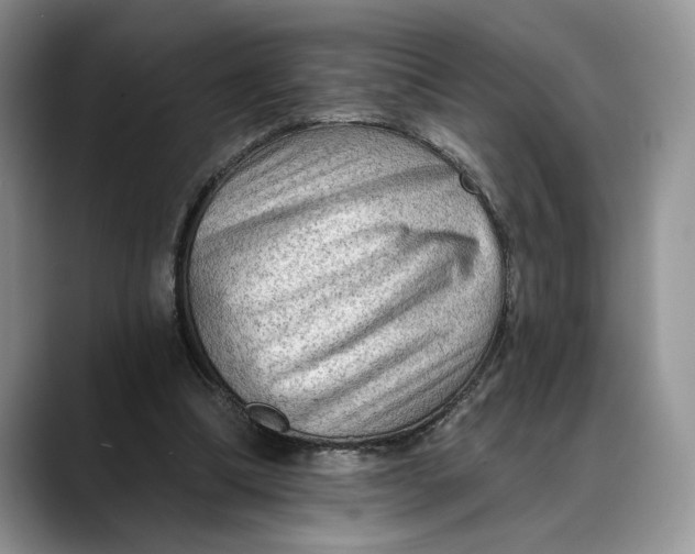 X0000088410298200706121419