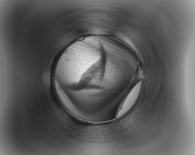 X0000088410299200706121419