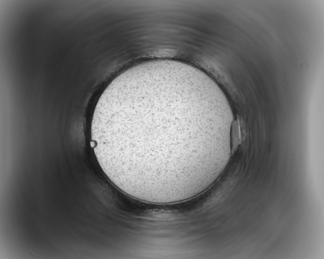 X0000088410300200706121419