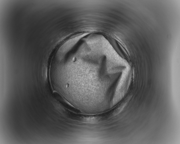 X0000088410301200706121419