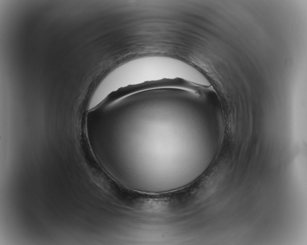 X0000088410303200706121419