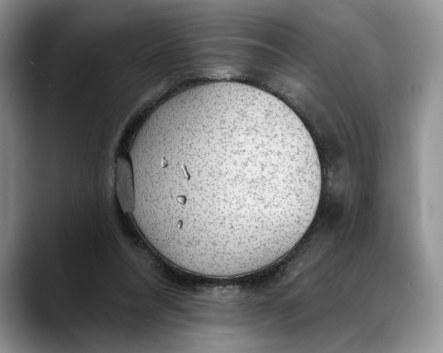 X0000088410304200706121419