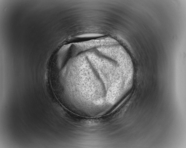 X0000088410305200706121419