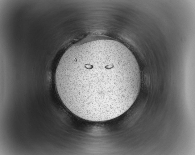 X0000088410308200706121419