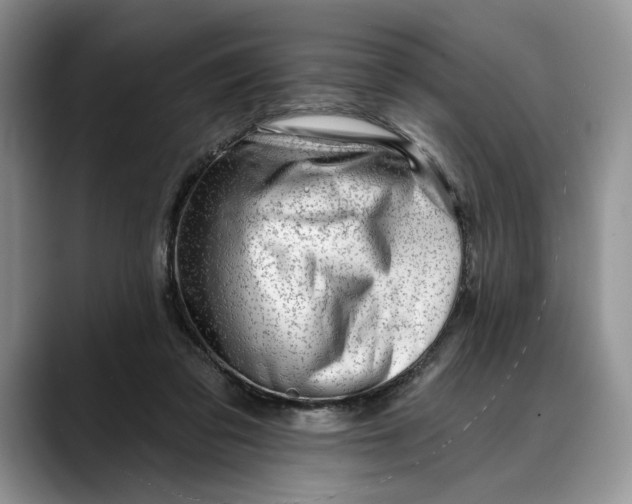 X0000088410309200706121419