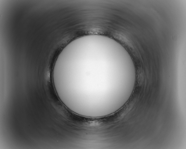 X0000088410310200706121419