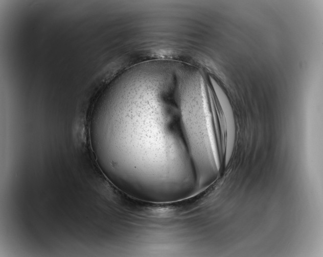 X0000088410313200706121419