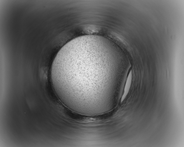 X0000088410315200706121419