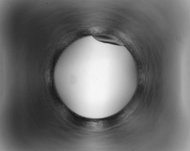 X0000088410317200706121419