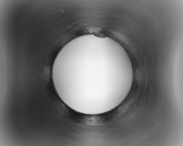 X0000088410321200706121419