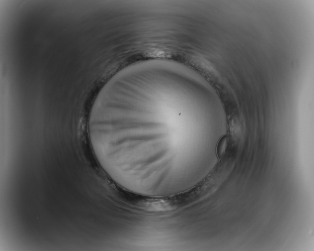 X0000088410322200706121419