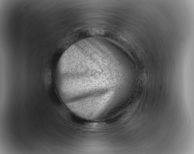 X0000088410323200706121419