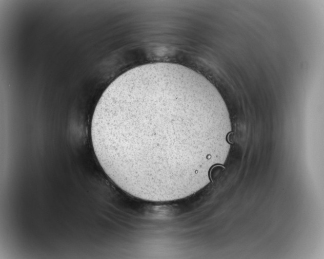 X0000088410324200706121419