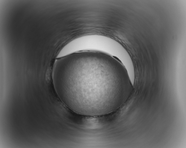 X0000088410325200706121419