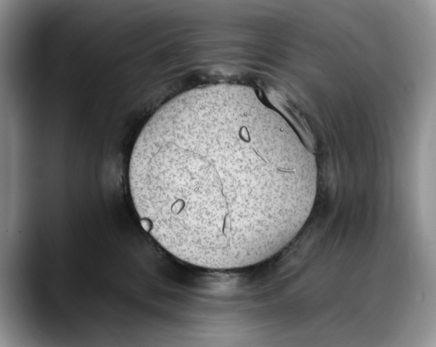 X0000088410328200706121419