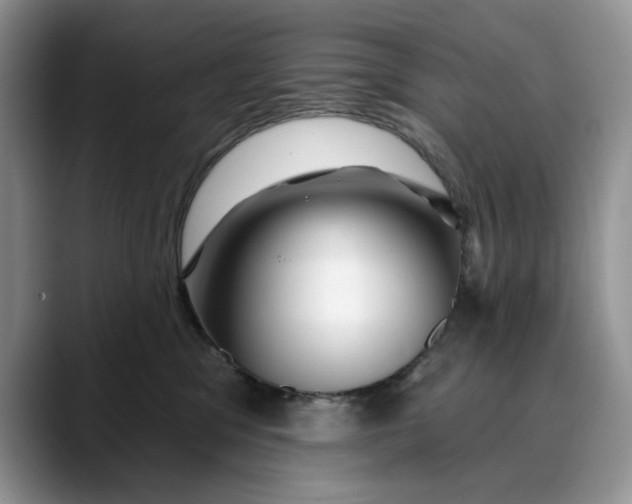 X0000088410329200706121419