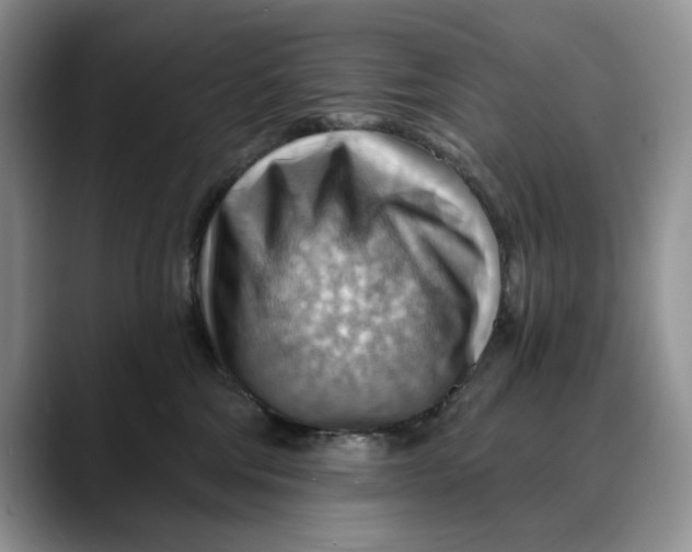 X0000088410330200706121419