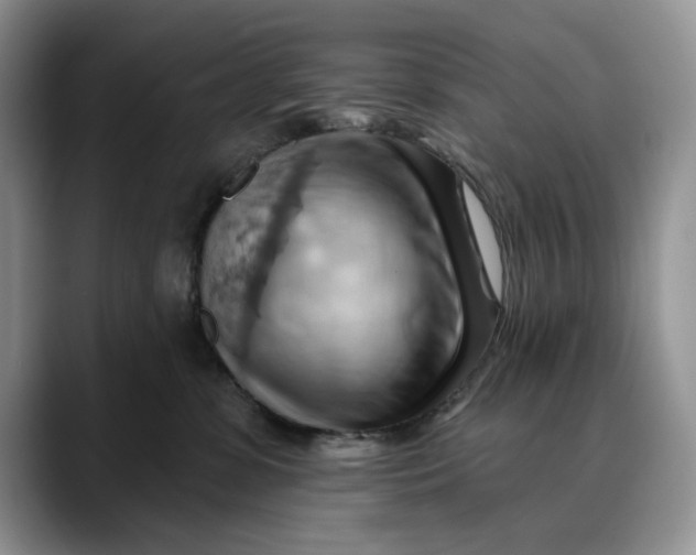 X0000088410331200706121419