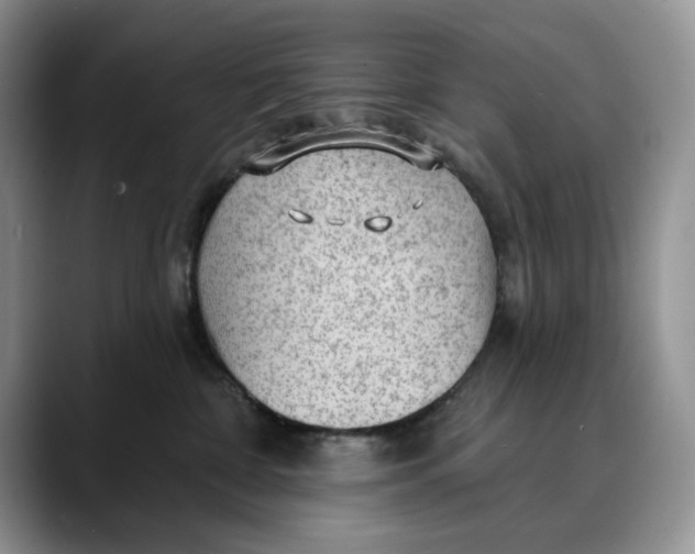 X0000088410332200706121419