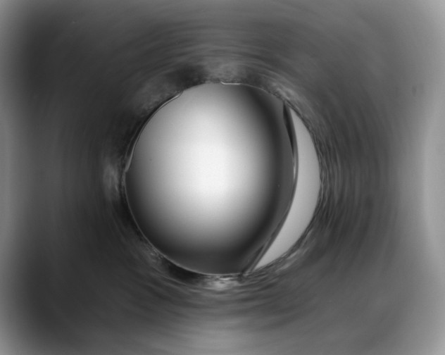 X0000088410333200706121419