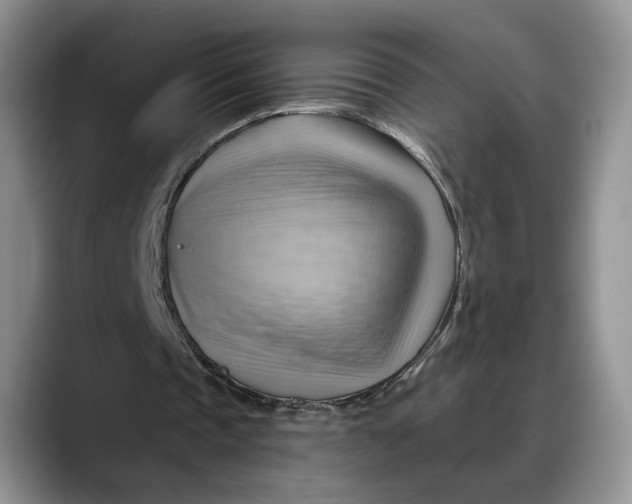 X0000088410337200706121418