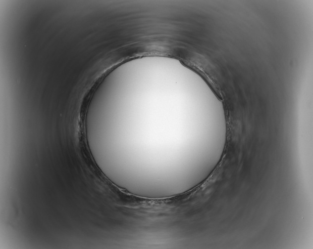 X0000088410338200706121418